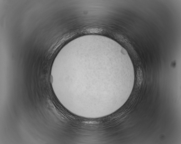 X0000115210212200912091205