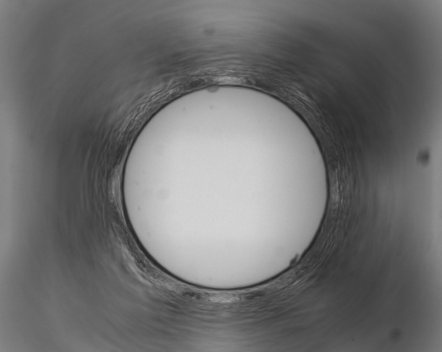 X0000115210213200912091205