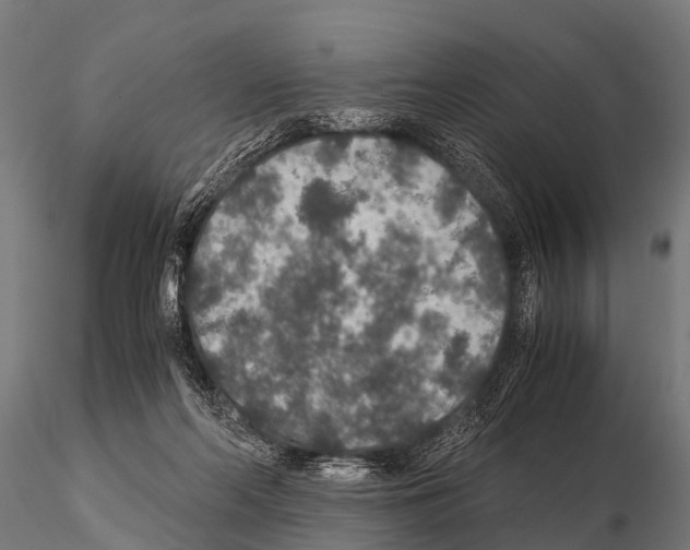 X0000115210214200912091205