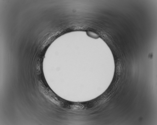 X0000115210215200912091205