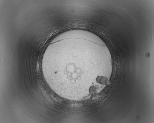 X0000115210216200912091205