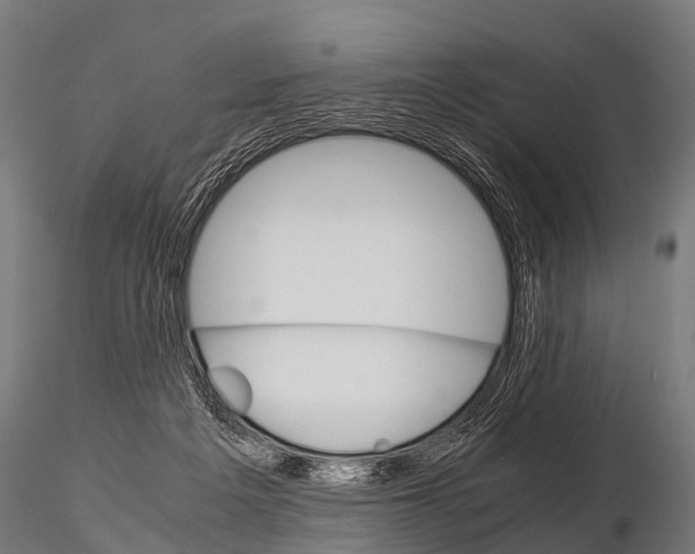 X0000115210217200912091205