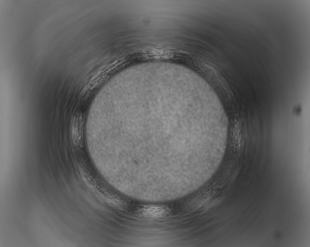 X0000115210218200912091205