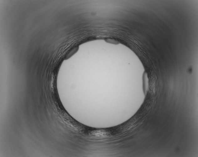 X0000115210219200912091205