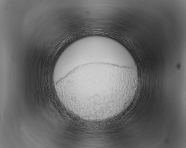 X0000115210220200912091205