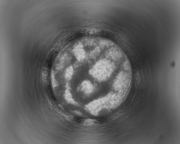 X0000115210222200912091205