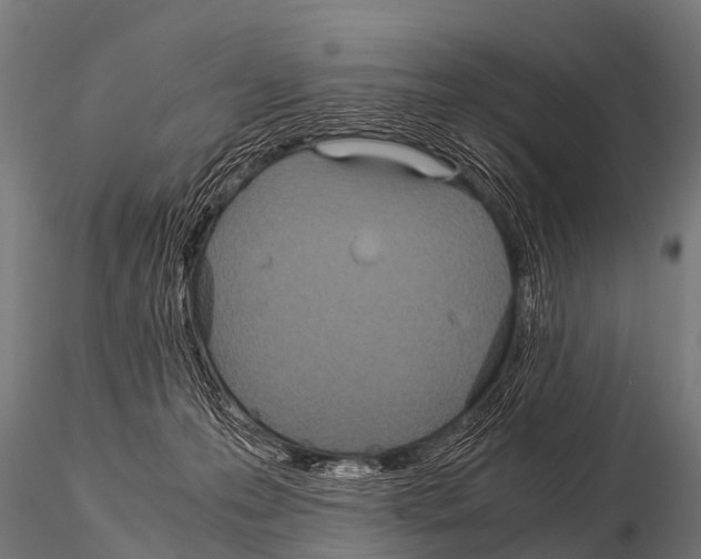 X0000115210223200912091205