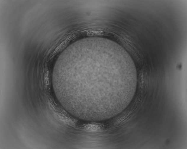 X0000115210224200912091205