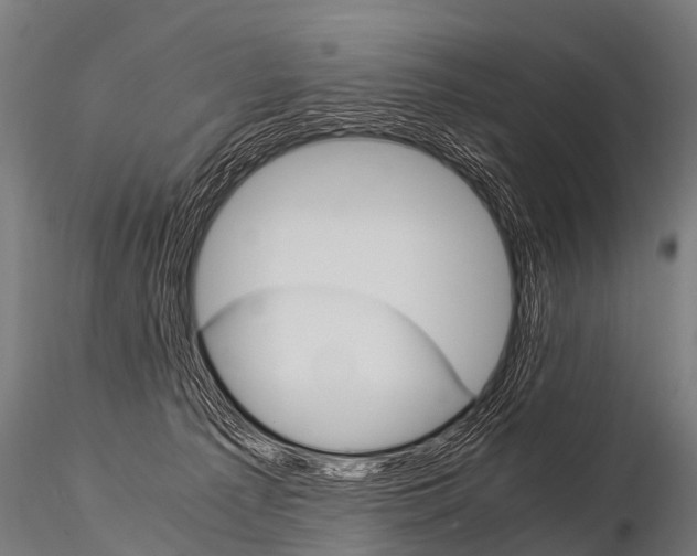 X0000115210225200912091205