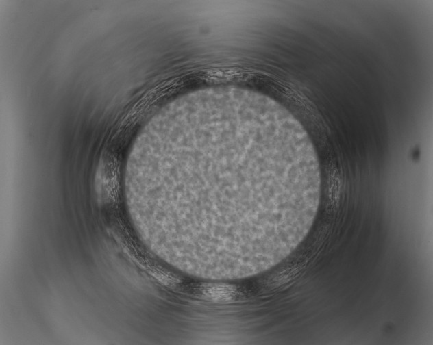 X0000115210226200912091205