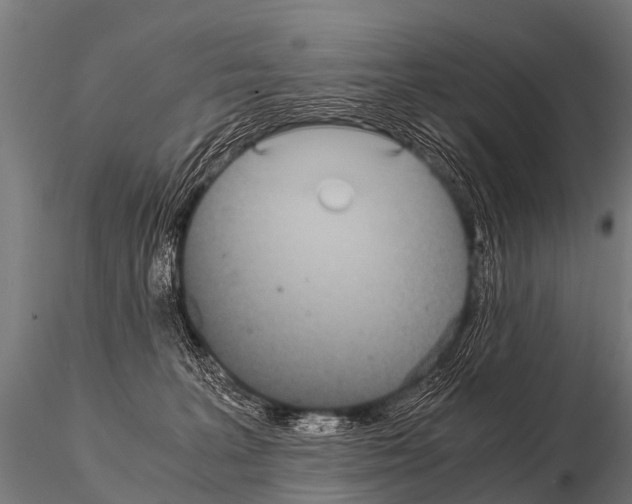 X0000115210227200912091205