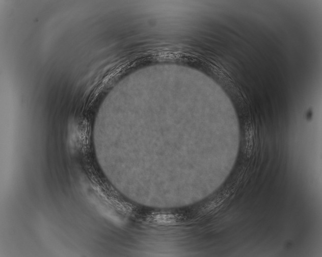 X0000115210228200912091205