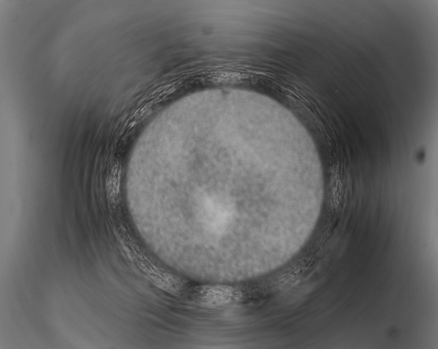 X0000115210230200912091205