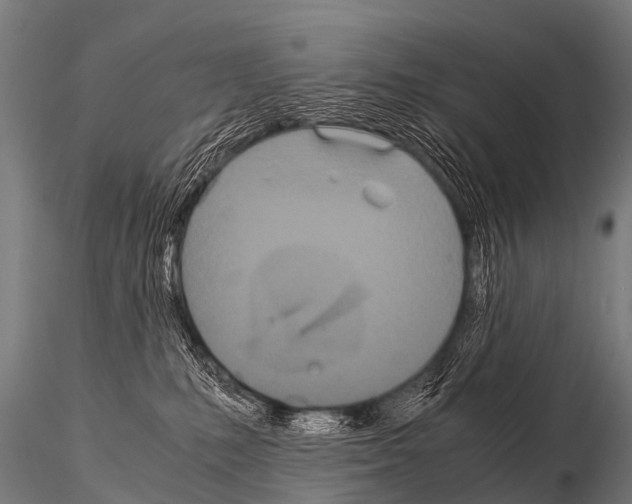 X0000115210231200912091205