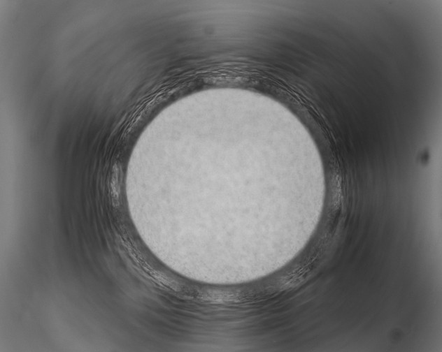 X0000115210232200912091205