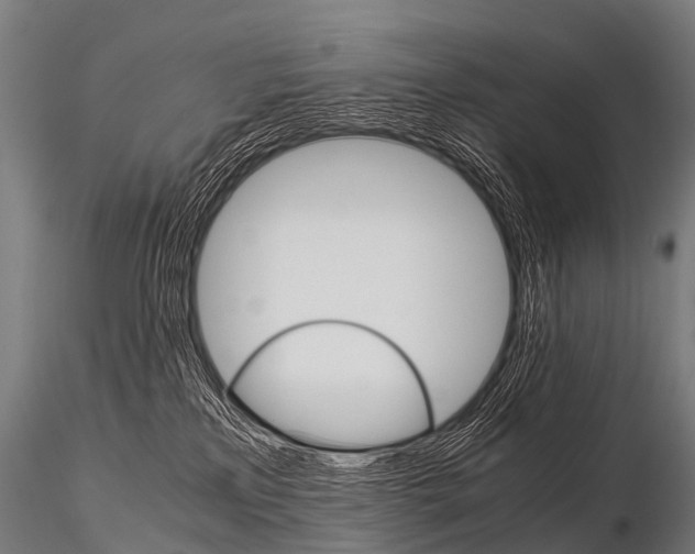 X0000115210233200912091205