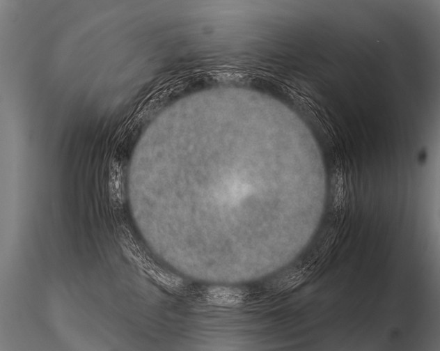 X0000115210234200912091205