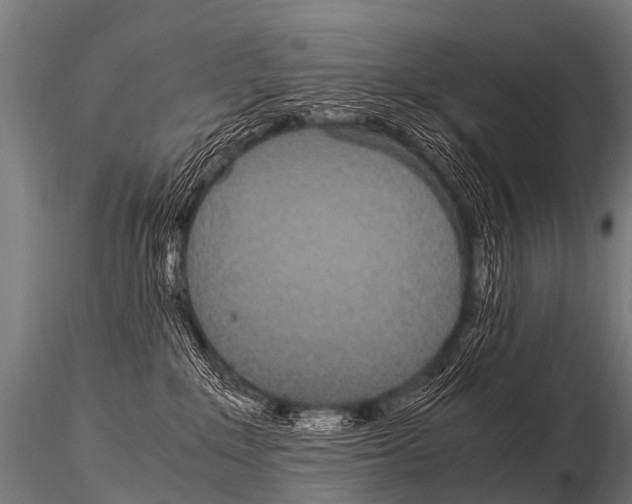 X0000115210235200912091205