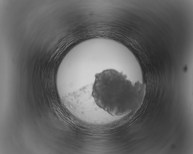 X0000115210236200912091205