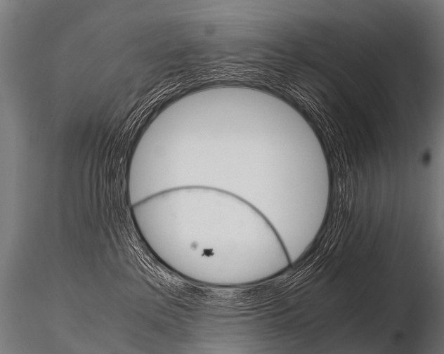 X0000115210237200912091205