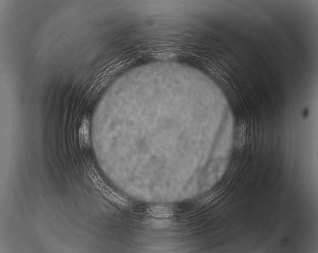 X0000115210238200912091205