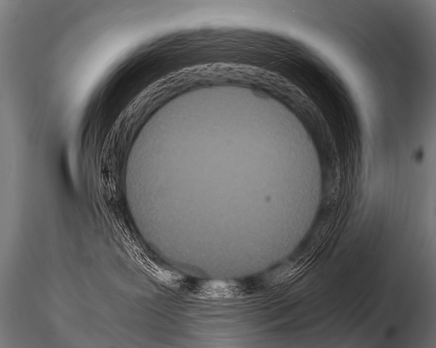 X0000115210239200912091205