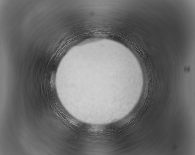 X0000115210240200912091205