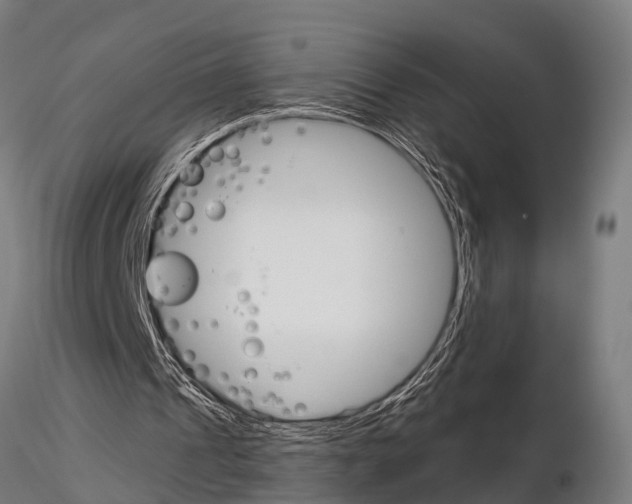 X0000115210241200912091204