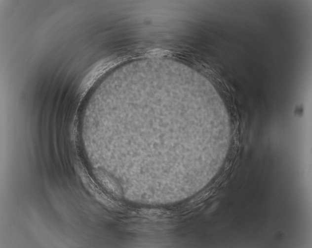 X0000115210242200912091204