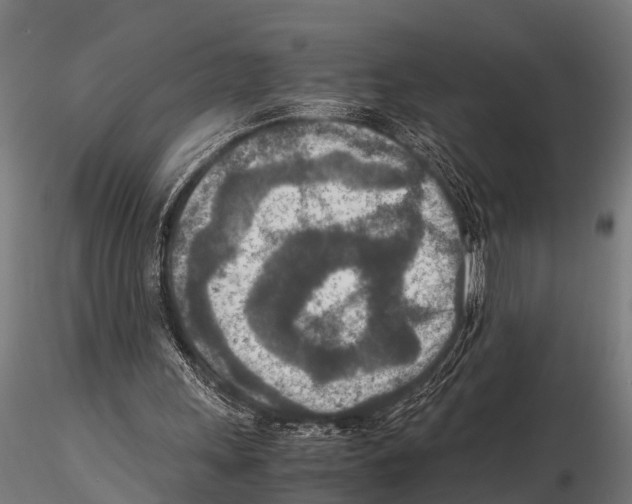 X0000115210243200912091204