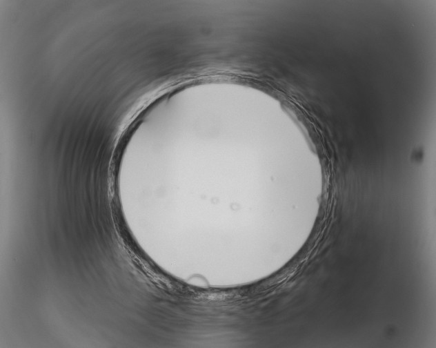 X0000115210244200912091204