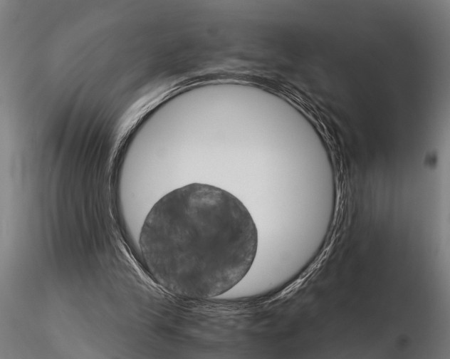 X0000115210245200912091204