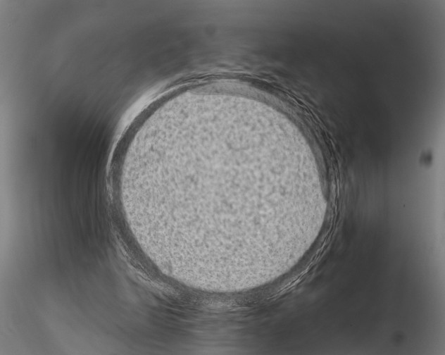 X0000115210246200912091204