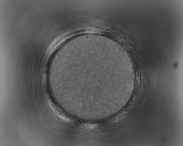 X0000115210247200912091204