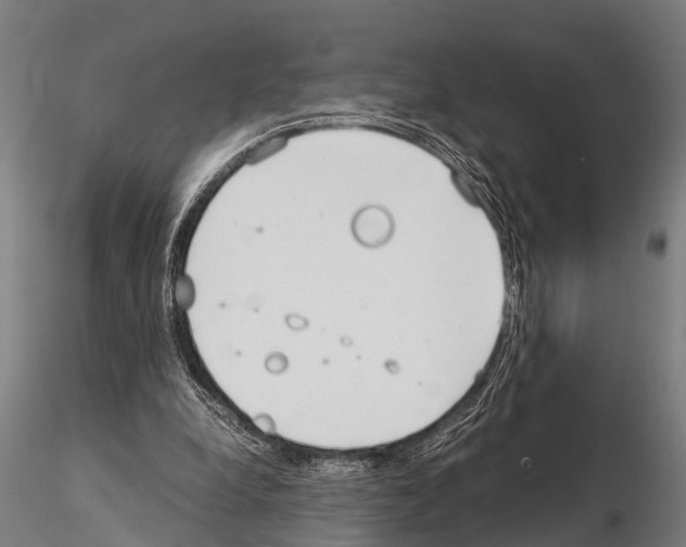 X0000115210248200912091204