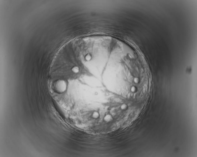 X0000115210249200912091204