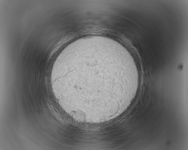 X0000115210250200912091204