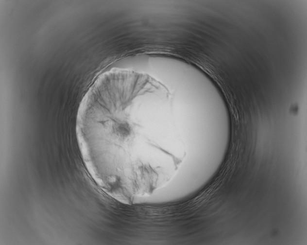 X0000115210253200912091204