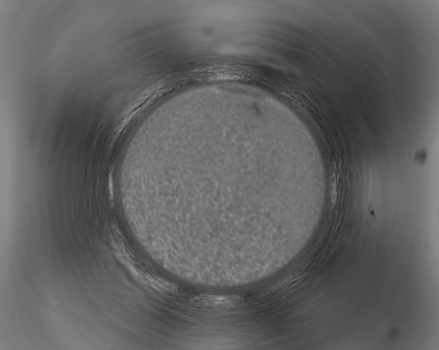 X0000115210254200912091204