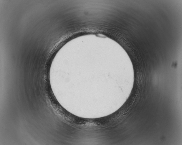 X0000115210256200912091204