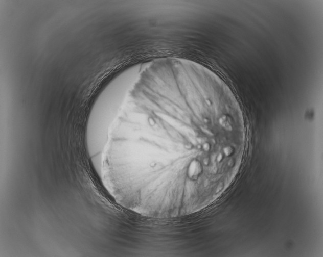 X0000115210257200912091204