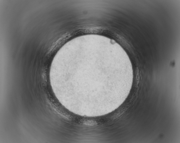 X0000115210258200912091204