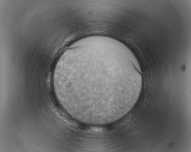 X0000115210260200912091204