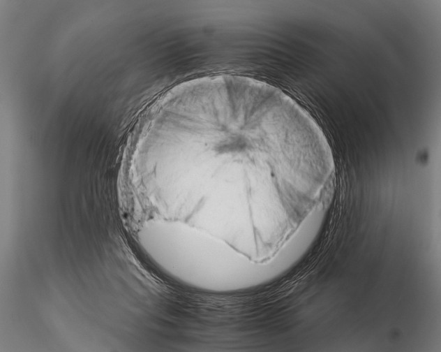 X0000115210261200912091204