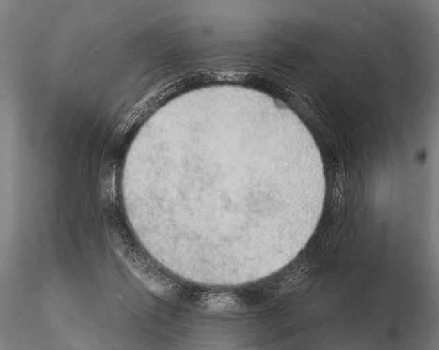 X0000115210262200912091204