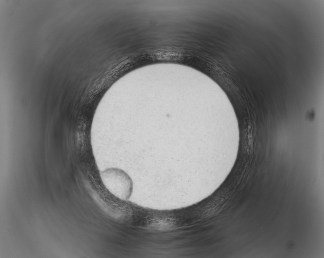 X0000115210263200912091204