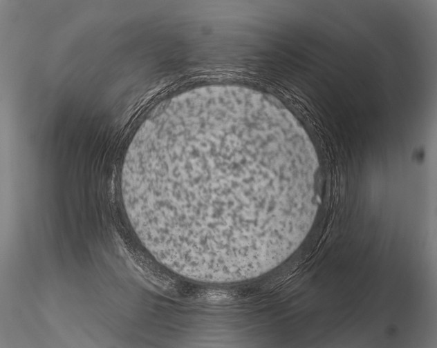 X0000115210264200912091204