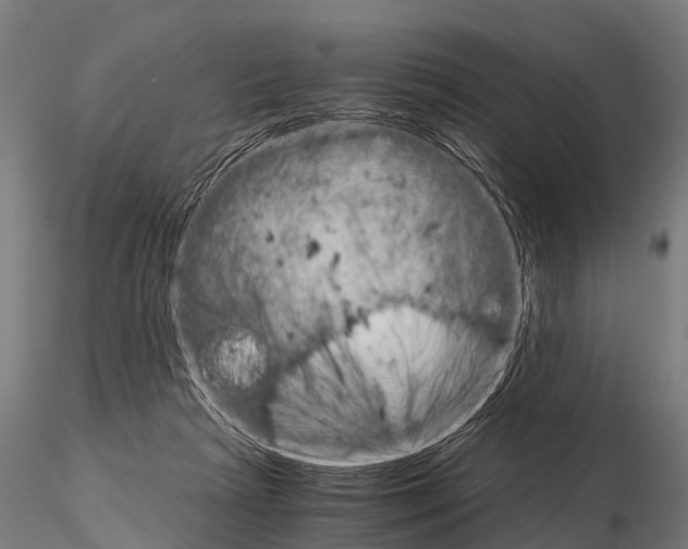 X0000115210265200912091204