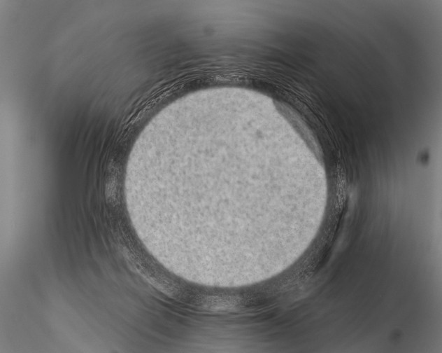 X0000115210266200912091204