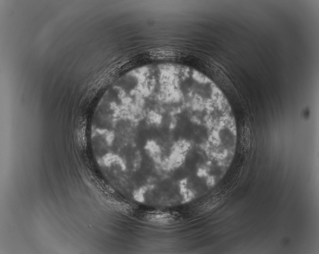 X0000115210267200912091204